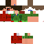 Vista previa del PNG de skin