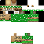 Vista previa del PNG de skin