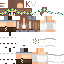 Vista previa del PNG de skin