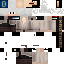 Vista previa del PNG de skin