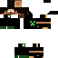 Vista previa del PNG de skin