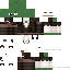 Vista previa del PNG de skin