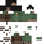 Vista previa del PNG de skin