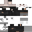 Vista previa del PNG de skin