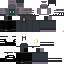 Vista previa del PNG de skin