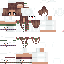 Vista previa del PNG de skin