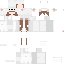 Vista previa del PNG de skin