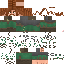 Vista previa del PNG de skin