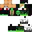 Vista previa del PNG de skin