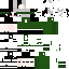 Vista previa del PNG de skin