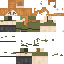 Vista previa del PNG de skin
