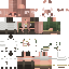 Vista previa del PNG de skin