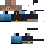 Vista previa del PNG de skin