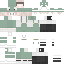 Vista previa del PNG de skin
