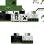 Vista previa del PNG de skin
