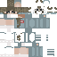 Vista previa del PNG de skin
