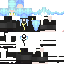 Vista previa del PNG de skin