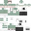 Vista previa del PNG de skin