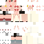Vista previa del PNG de skin