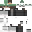 Vista previa del PNG de skin