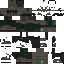 Vista previa del PNG de skin