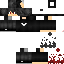 Vista previa del PNG de skin
