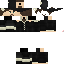 Vista previa del PNG de skin