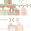 Vista previa del PNG de skin