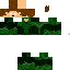 Vista previa del PNG de skin