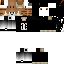 Vista previa del PNG de skin