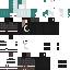 Vista previa del PNG de skin