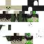 Vista previa del PNG de skin