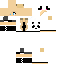 Vista previa del PNG de skin