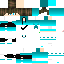 Vista previa del PNG de skin