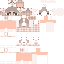 Vista previa del PNG de skin