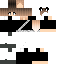 Vista previa del PNG de skin