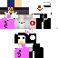 Vista previa del PNG de skin