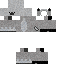 Vista previa del PNG de skin