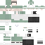 Vista previa del PNG de skin