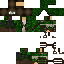 Vista previa del PNG de skin