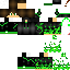Vista previa del PNG de skin