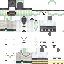 Vista previa del PNG de skin