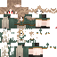 Vista previa del PNG de skin