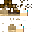 Vista previa del PNG de skin