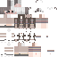 Vista previa del PNG de skin