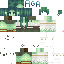 Skin PNG preview