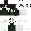 Vista previa del PNG de skin