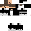 Vista previa del PNG de skin