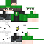 Vista previa del PNG de skin
