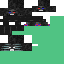 Vista previa del PNG de skin